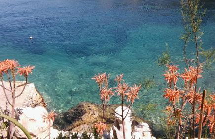 Apartment Nikola - Photo 20