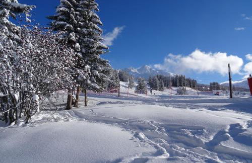 ARC 1800 Pierra Menta - Foto 18