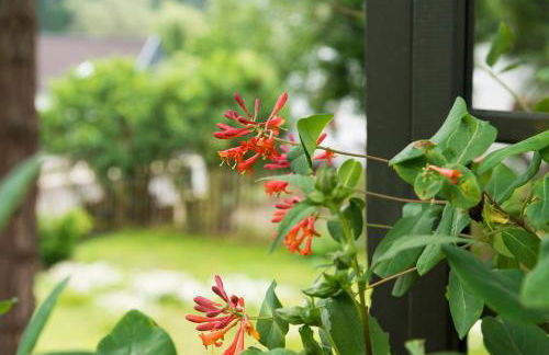 Zum-Goldenen-Schaf - Foto 20