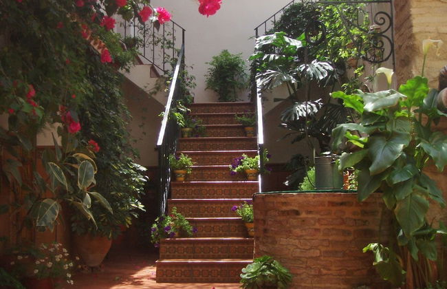 Apartamentos Embrujo de Azahar - Foto 49