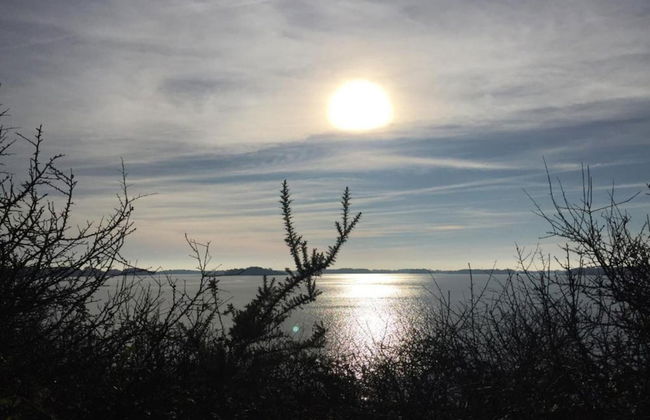 Apartment in Dar?owo With Garden - Photo 18