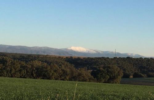 El Carro del Abuelo - Foto 67