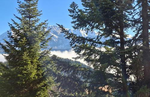 Les Arolles E23, classé 3 étoiles à Chamrousse 1700 - Foto 19