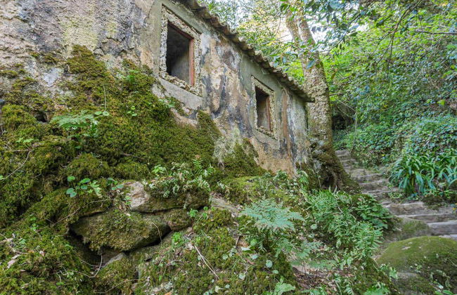 Tour en bicicleta por el Parque Natural Sintra-Cascais - Foto 5