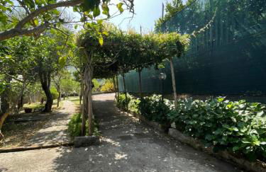 Villa Rosmary - Foto 68