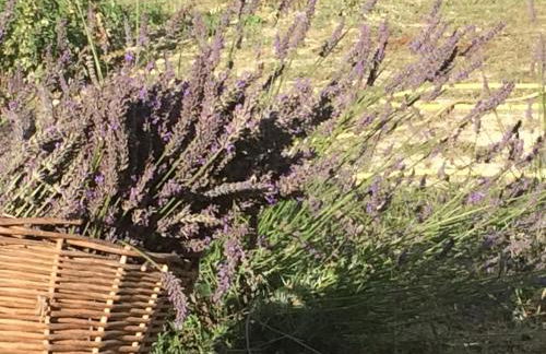 Cascina Vicentini - Foto 77