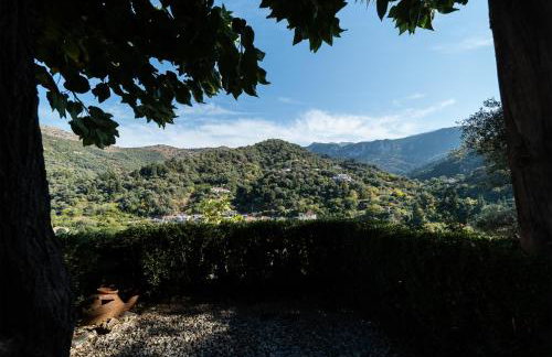 Villa Eleni Meskla - Foto 13