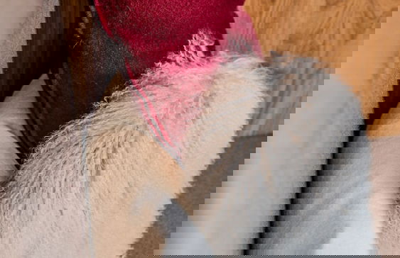 Aparthotel Parsberg Green Design Ferstl - Foto 12