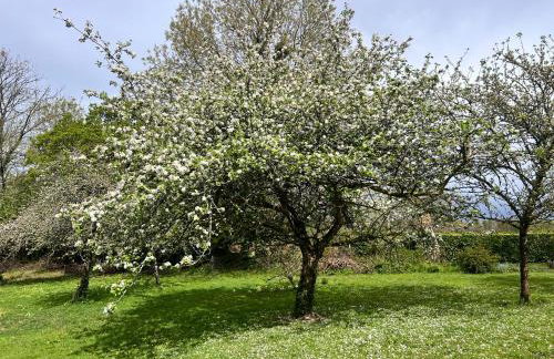 Gîtes du Semeno - Foto 19