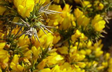 L'annexe de l'Hôtel de l'Europe - Foto 27