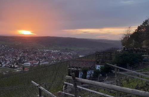 Ferienhaus an der Höh' - Foto 31