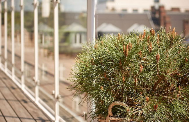 Hypernym Hotel & Suites - Photo 16