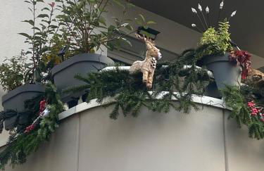 Studio Premium Haguenau cosy, tout équipé, calme, balcon - Photo 10