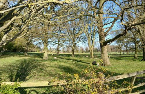 The Herons - Foto 31