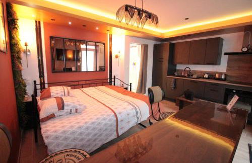 Luxury Studio, Rez de chaussée, Parking privé vidéo surveillance, Canapé haute qualité convertible couchage 2 personnes, Centre Ville proche, Restaurant, boulangerie 2 minutes à pied, Terrasse - 800mètre carré de terrain - Géré par Presta-Zen'Services - Foto 2