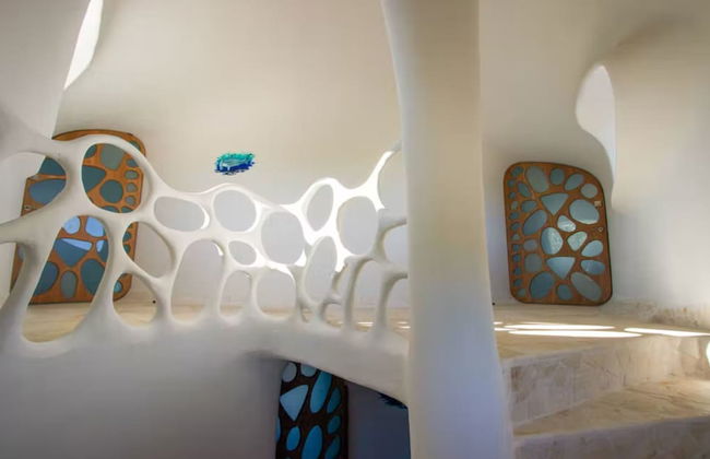 Alterhome Turtle Studio - Foto 1