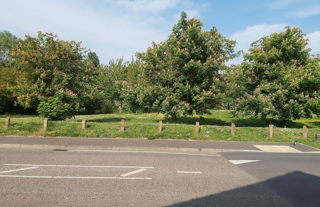 Huku Kwetu - Fieldfare Green - Foto 31