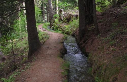 Mountain Village Hasenegg - Foto 25