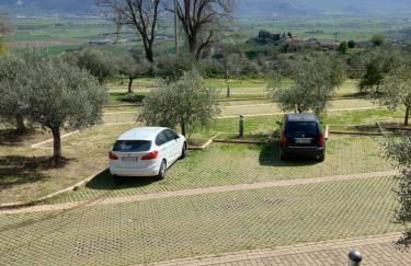 HORTI DIVINIS - Foto 13