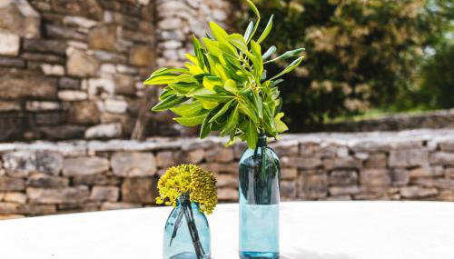 Vigini - Foto 2, Other