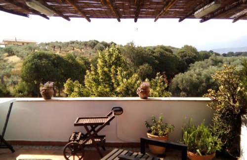 Masseria Sparano - Foto 35