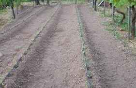 Gli Ulivi Agriturismo - Foto 68