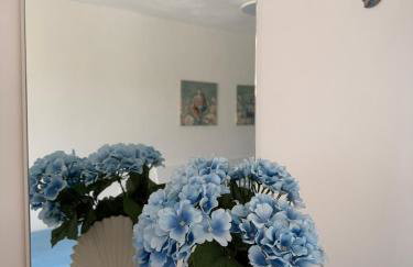 Villa Carol - Foto 40