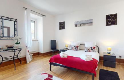 Les Cigognes d'Alsace - Photo 22