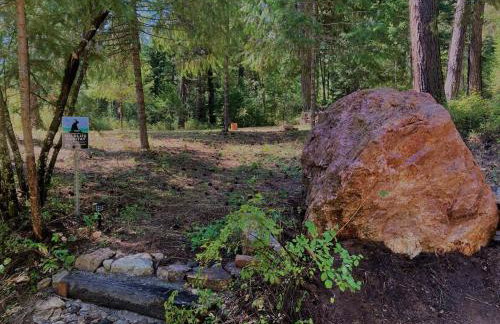 Tranquil Nature Retreat on 12 acres! - Foto 24