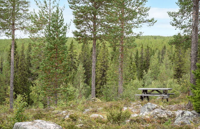 Lofsdalen Lavskrikan - Foto 21