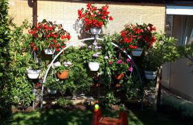 Andela Apartment - Foto 20