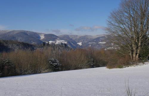 Gîte du Pré au Miel en plein coeur de l'Alsace - Foto 41