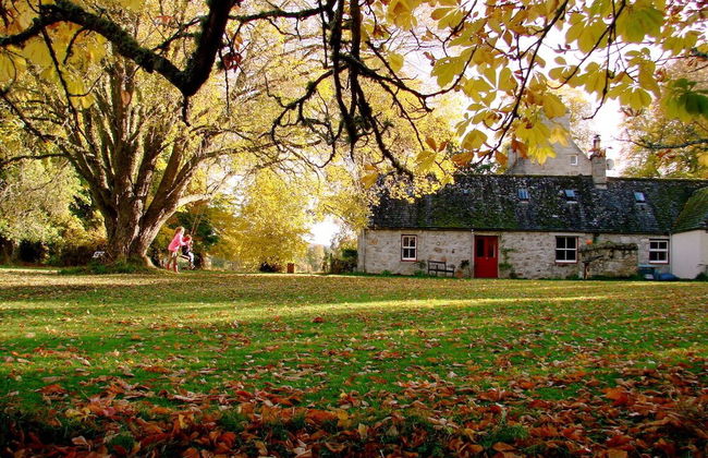The Dell of Abernethy - Photo 14