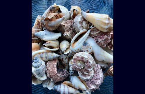 Willkommen-Glückstadt - Foto 6