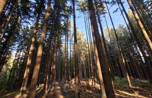 Odpocznij u Ani - Foto 29