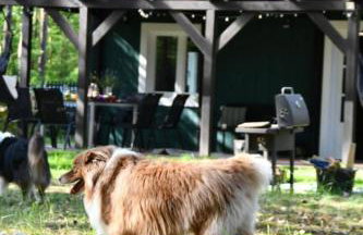 Daleko od Szosy - Foto 53