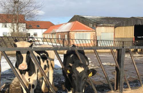 Calf House Cottage - Foto 18