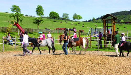 Ferienhof Belke-Spork - Foto 2
