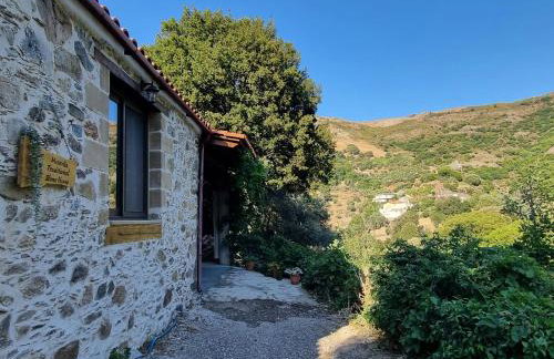 Mesavlia Traditional Stone House - Photo 36