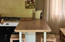 Musa Paradisiaca - Foto 15