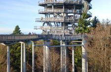 App MAJA Am Predigtstuhl - Foto 24