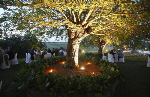 Podere Cartaio Bio Farm, private pool, AirC - Foto 79