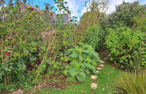 Granite stone house Guimaec - Foto 19