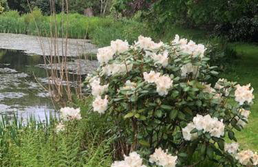 Polgwedhen Lodge - Photo 37