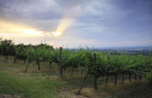 Agriturismo Gaggioli Borgo Delle Vigne - Foto 75