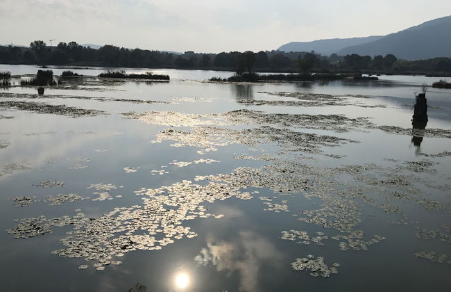 Appartamento Franciacorta - Photo 37