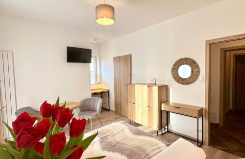 Karkonoskie Widoki Apartamenty - Foto 11