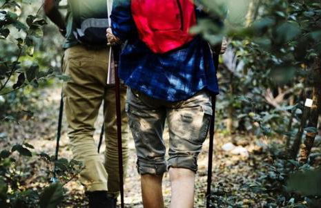 LA CASA DI CHIANNI La Pieve - Foto 45