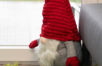 Το σπίτι στο χωριό - Foto 24