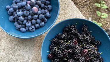 Domek Samice - Foto 2